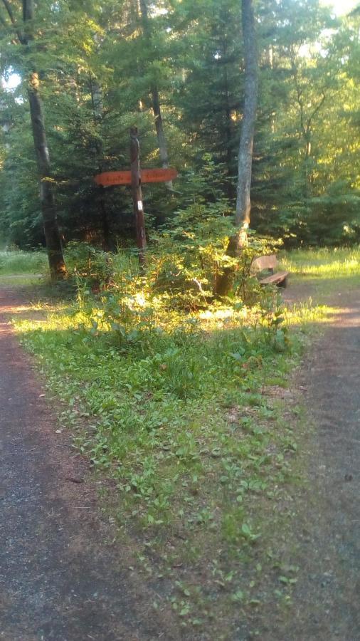 Zimmervermietung Pargen Daun Esterno foto